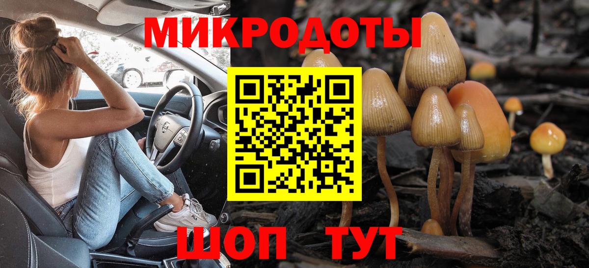 Псилоцибиновые грибы мицелий  Вход с VPN  Псилоцибиновые грибы GOLDEN TEACHER  Елизово 