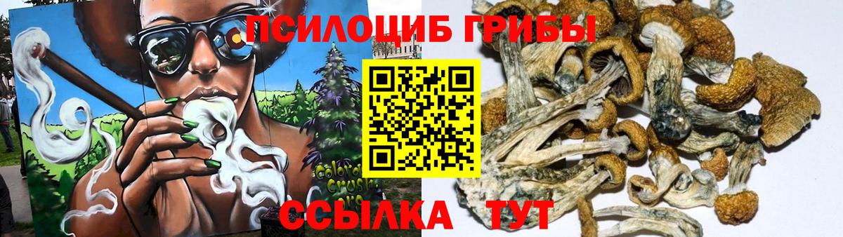 Псилоцибиновые грибы Cubensis Елизово